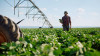 Clima e produção agrícola: como o produtor se adapta às mudanças dos últimos anos