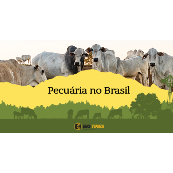 PECUÁRIA NO BRASIL