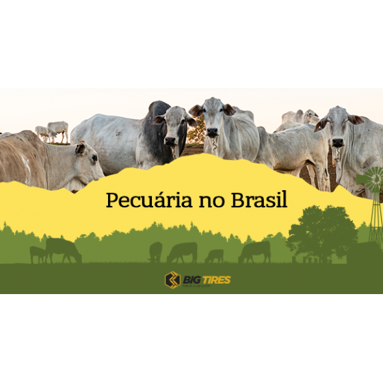 So apitoo#foruyou #pecuariabrasil🇧🇷🐂🐂🐂🐂