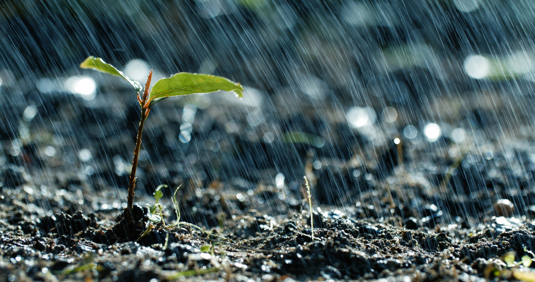 Como manter sua produção agrícola estável durante os períodos de muita previsão de chuva