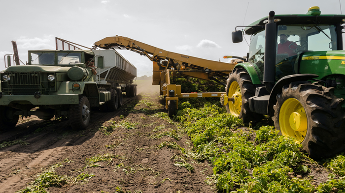 Conheça o plano de ação para a agricultura em 2021