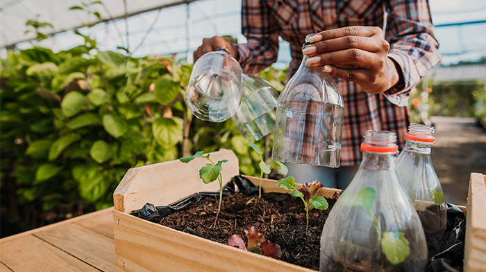 Confira práticas sustentáveis para a agricultura