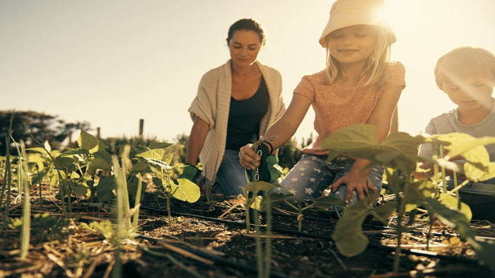 Principais cuidados com a agricultura no outono