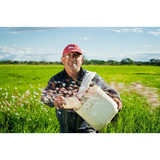 ENTENDA COMO FUNCIONA O INVESTIMENTO RURAL