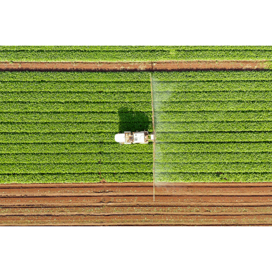 A IMPORTÂNCIA DE FAZER O CONTROLE DE PLANTAS DANINHAS NO CULTIVO