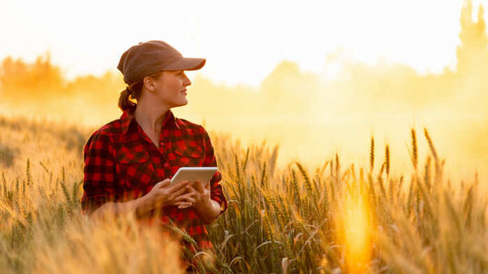 Saiba quais são as profissões promissoras no agronegócio