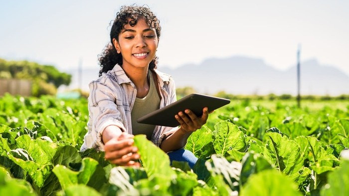 Desafios e oportunidades para o agronegócio brasileiro nos próximos anos