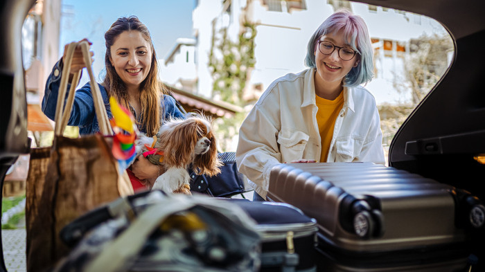 Como levar cachorro em viagens de carro? 