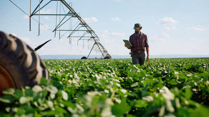 Clima e produção agrícola: como o produtor se adapta às mudanças dos últimos anos