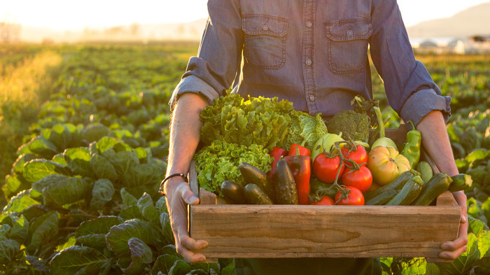 Mitos e Verdades sobre Alimentos Orgânicos