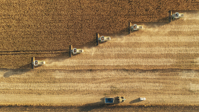 Início do outono: saiba como manter sua safra saudável com as mudanças climáticas
