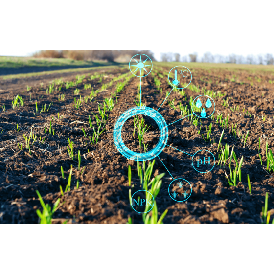 ENTENDA COMO É APLICADA A INTERNET DAS COISAS NA AGRICULTURA