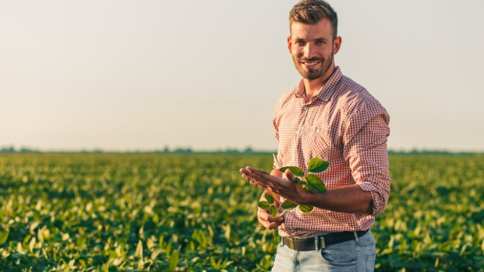 Benefícios da agricultura regenerativa para o meio ambiente