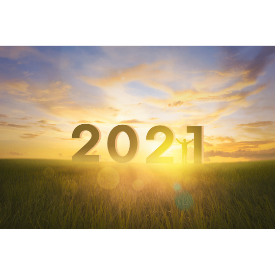 AS PROJEÇÕES PARA A AGRICULTURA EM 2021
