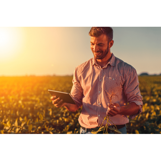 CONHEÇA 10 STARTUPS AGRÍCOLAS COM PROPOSTAS INOVADORAS