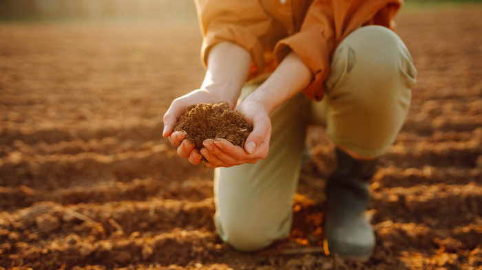 Tipos de solo mais comuns no Brasil e como fertilizá-los de forma inteligente