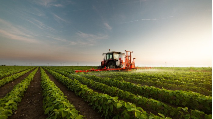 4 erros e prejuízos que o produtor pode evitar no dia a dia da lavoura