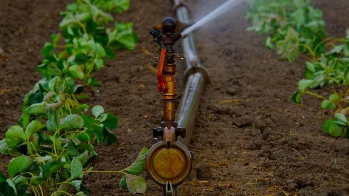 Saiba como fazer o mapeamento da área de irrigação