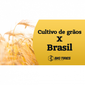 CULTIVO DE GRÃOS X BRASIL