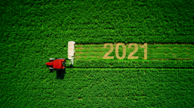 Como a instabilidade de temperaturas impacta a agricultura em 2021?