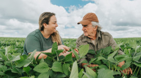 Você sabe qual é o impacto da agricultura familiar para a economia local?