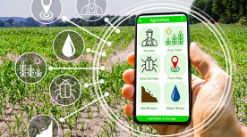 5 aplicativos que todo agricultor precisa conhecer