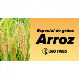 ESPECIAL DE GRÃOS - ARROZ