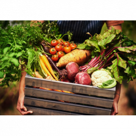 A HISTÓRIA DA AGRICULTURA REGENERATIVA E OS ALIMENTOS SUSTENTÁVEIS