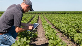 Controle de pragas: veja como a tecnologia pode ajudar