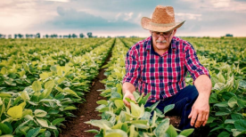 Conheça sobre o dia do agricultor