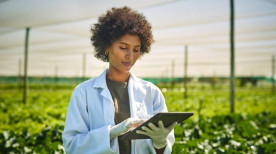 Agricultura regenerativa: entenda o que é e como aplicar na sua lavoura