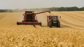 Máquinas agrícolas: saiba quais são os cuidados de segurança