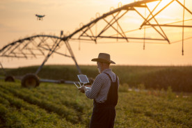 Saiba como a tecnologia está revolucionando o setor agrícola