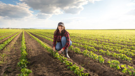 Dia Internacional da Mulher: o crescimento das mulheres no agronegócio