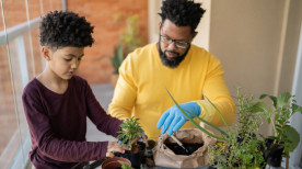 Agricultura urbana: 5 dicas para montar uma horta em casa