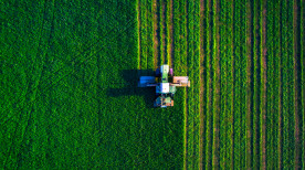 Dia Mundial da Agricultura: 5 curiosidades sobre essa data