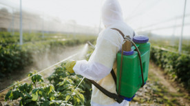 5 Dicas Essenciais para o Controle de Pragas na Agricultura