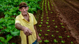 Entenda como é o processo de aposentadoria rural no Brasil