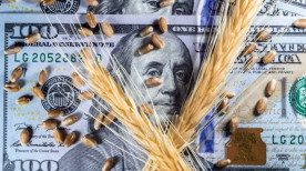 Como o dólar influencia na agricultura