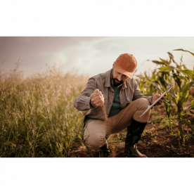 COMO A PESQUISA AGRÍCOLA AJUDA NO COMBATE AO COVID-19