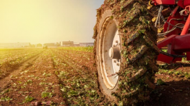 Qual a diferença entre pneus agrícolas Diagonais e Radiais?