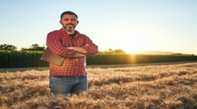 4 benefícios de ser um produtor rural formalizado