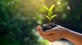 Saiba quais são as principais certificações em sustentabilidade agrícola