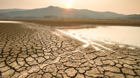 Entenda a diferença entre seca e estiagem e como a irrigação ajuda
