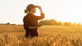 Entenda porque o setor da agricultura tende a ser promissor em 2021