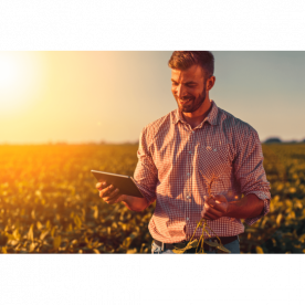 CONHEÇA 10 STARTUPS AGRÍCOLAS COM PROPOSTAS INOVADORAS