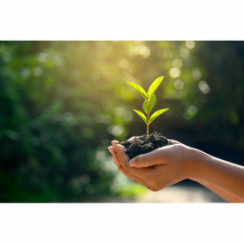 COMO PRATICAR A SUSTENTABILIDADE NO AGRONEGÓCIO