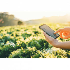 A TECNOLOGIA DE PRECISÃO E A PRODUTIVIDADE NA LAVOURA