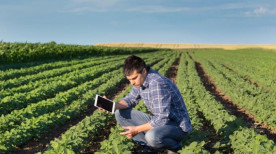 Como o mapeamento agrícola auxilia na produtividade do solo?