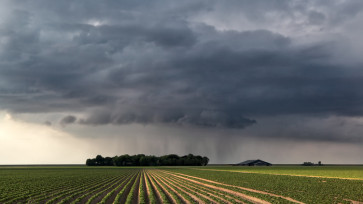 Como reduzir o impacto das chuvas no setor agrícola